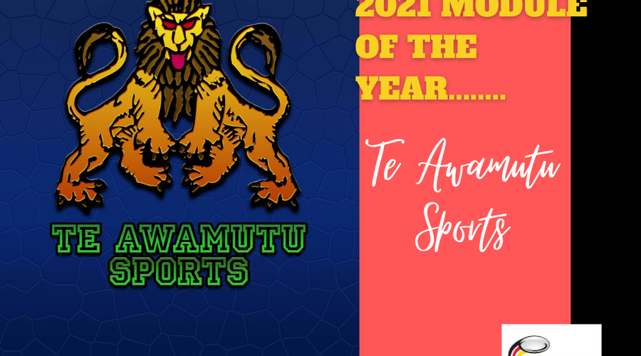 Te Awamutu Sports Touch Module of the year award